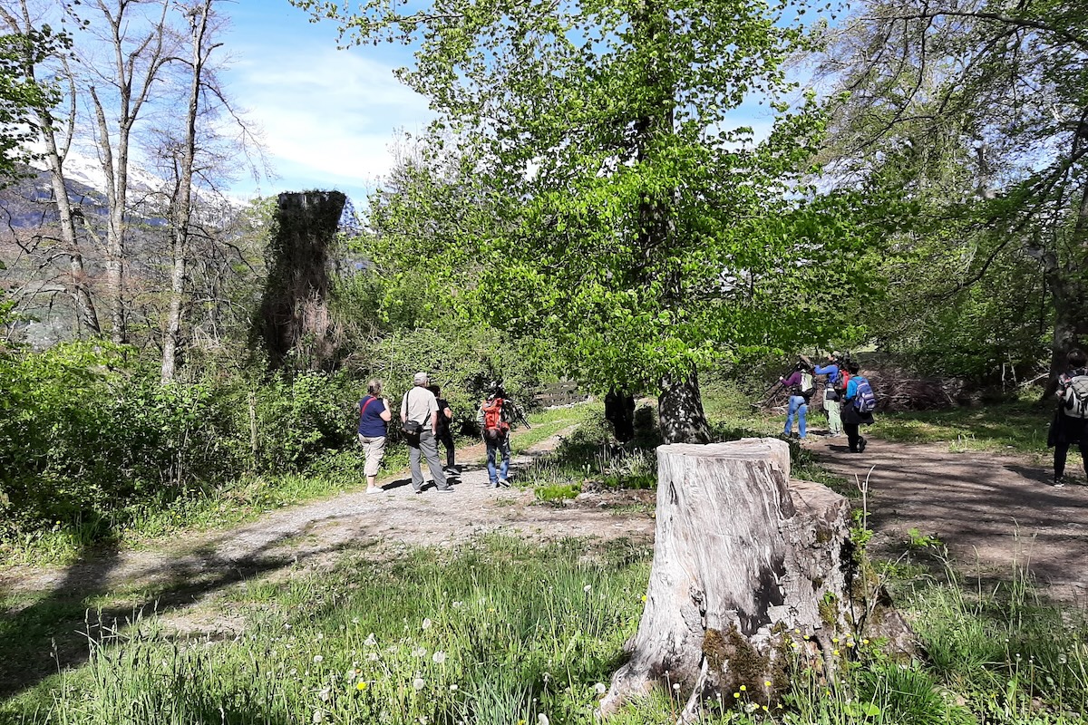Exkursion ins Bünderland