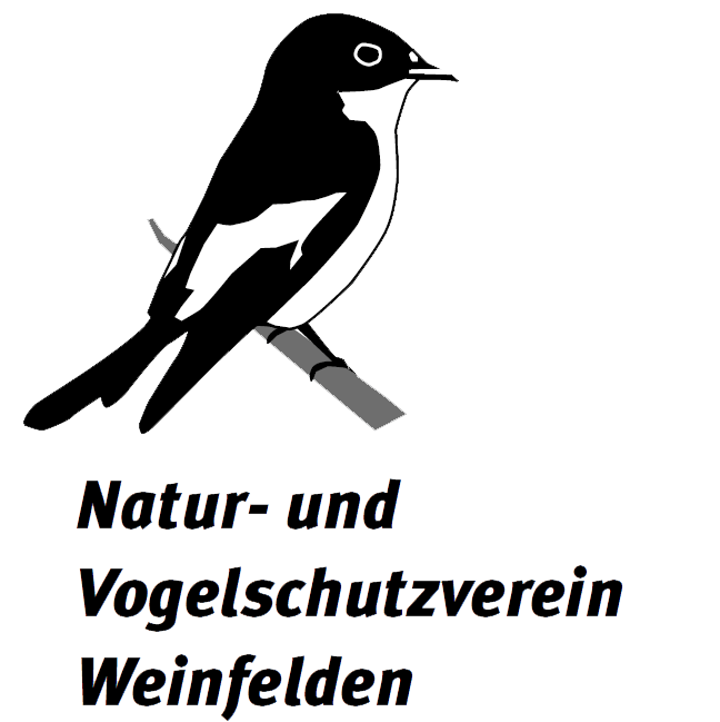 navo_logo_transparent